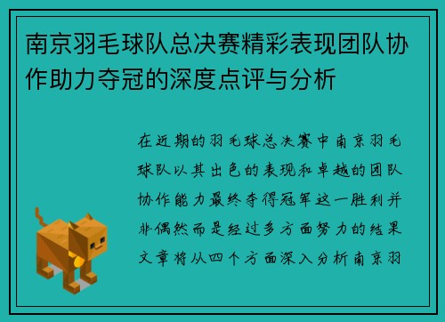 南京羽毛球队总决赛精彩表现团队协作助力夺冠的深度点评与分析